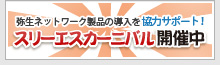 スリーエスカーニバル開催中！