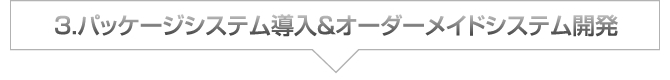 3.パッケージシステム導入&オーダーメイドシステム開発 3.パッケージシステム導入&オーダーメイドシステム開発