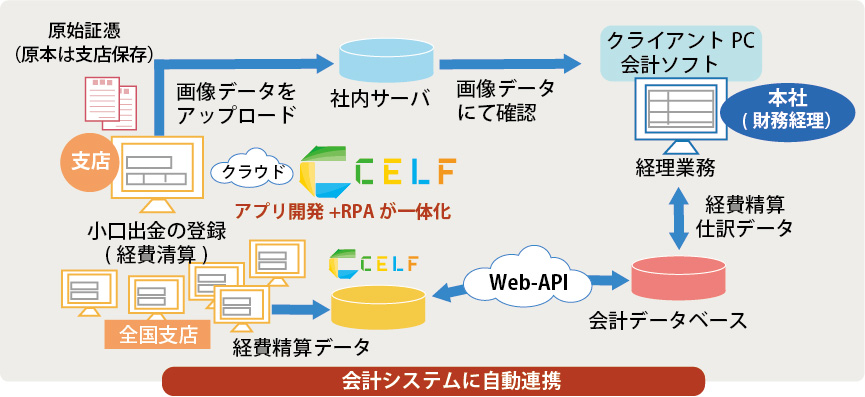 CELF導入事例